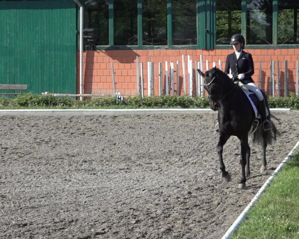 Reitturnier Schwanewede 2022