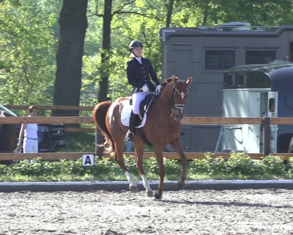 Reitturnier Schwanewede 2022