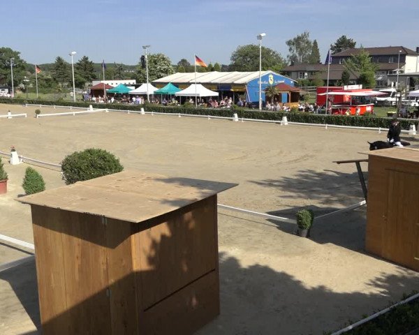 Reitturnier Bornheim-Widdig 2022