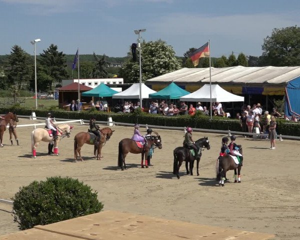 Reitturnier Bornheim-Widdig 2022