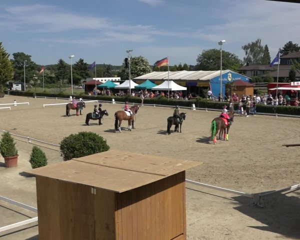 Reitturnier Bornheim-Widdig 2022