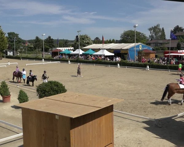 Reitturnier Bornheim-Widdig 2022