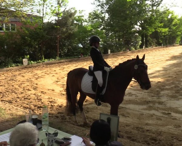 Reitturnier Rhede 2022