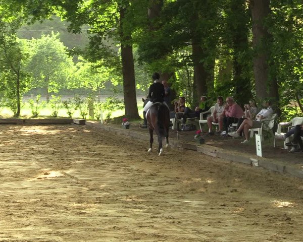 Reitturnier Rhede 2022
