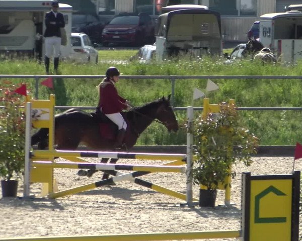 Reitturnier Werdenberg 2022