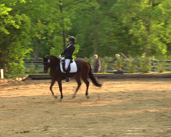 Reitturnier Rhede 2022