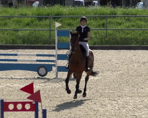 Reitturnier Werdenberg 2022