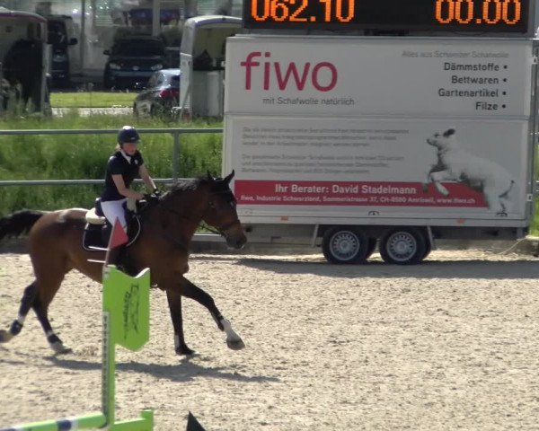Reitturnier Werdenberg 2022