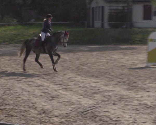 Reitturnier Lgl.-Oberhain, B95 2022