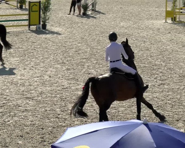 Reitturnier Werdenberg 2022