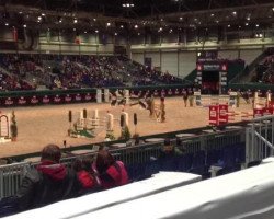jumper Sixtus 48 (Hanoverian, 2005, from Stolzenberg)
