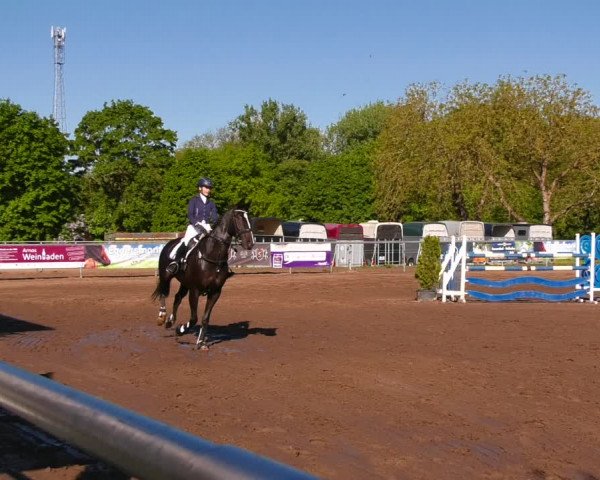 Reitturnier Lentzke - Reitanlage Krehl 2022