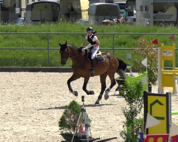 Reitturnier Werdenberg 2022