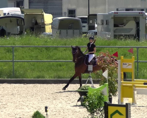 Reitturnier Werdenberg 2022