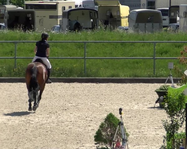 Reitturnier Werdenberg 2022