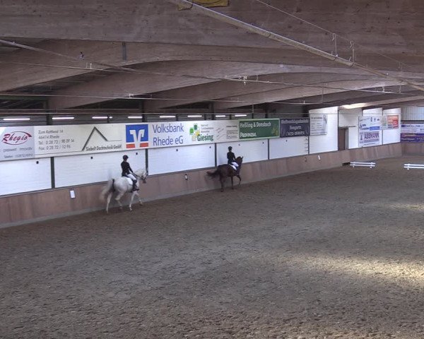 Reitturnier Rhede 2022
