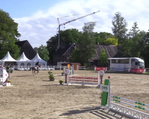 Reitturnier Münster-Angelmodde 2022