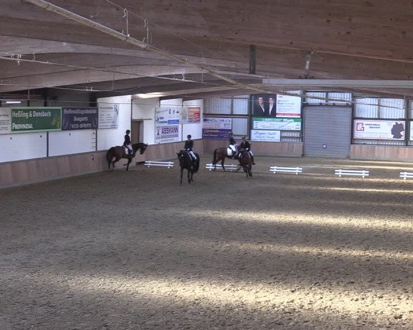 Reitturnier Rhede 2022
