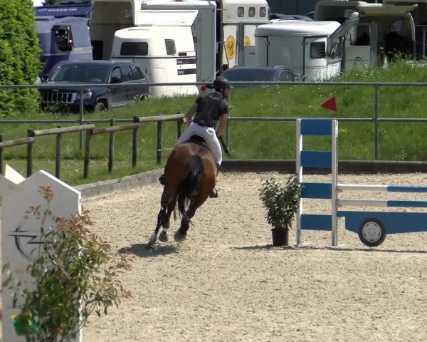 Reitturnier Werdenberg 2022
