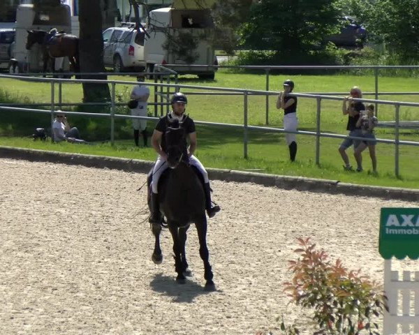 Reitturnier Werdenberg 2022