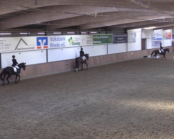 Reitturnier Rhede 2022