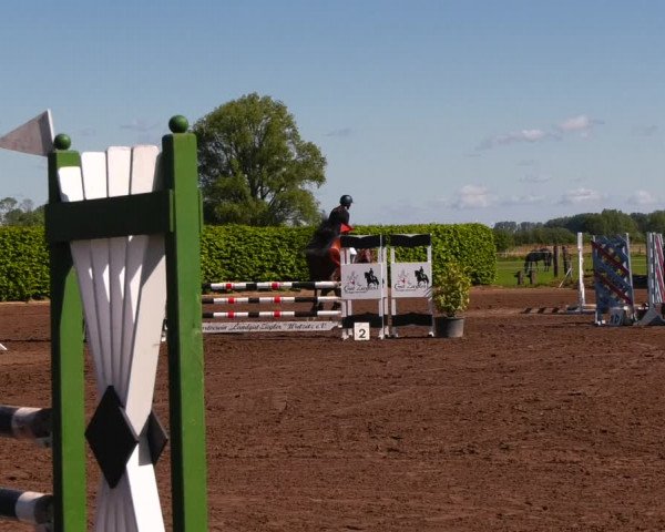 Reitturnier Lentzke - Reitanlage Krehl 2022
