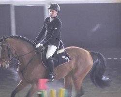 jumper PBM Cero (Holsteiner, 2007, from Cero)