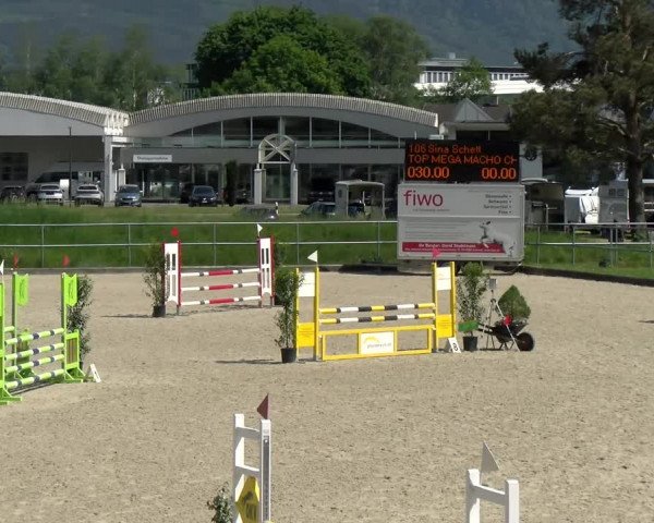 Reitturnier Werdenberg 2022