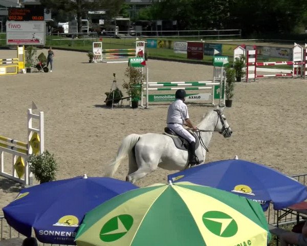 Reitturnier Werdenberg 2022