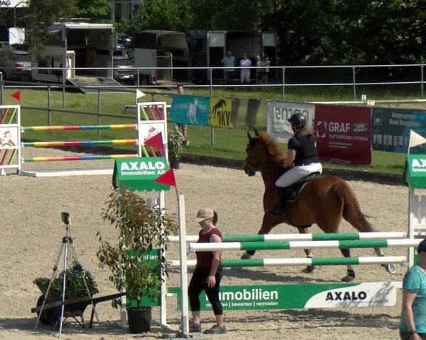Reitturnier Werdenberg 2022