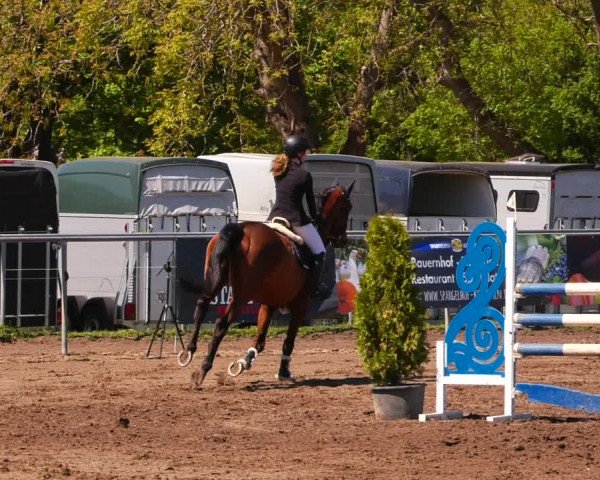 Reitturnier Lentzke - Reitanlage Krehl 2022