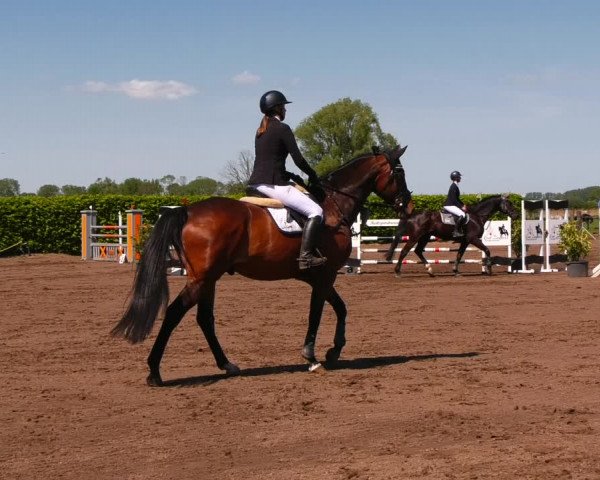 Reitturnier Lentzke - Reitanlage Krehl 2022