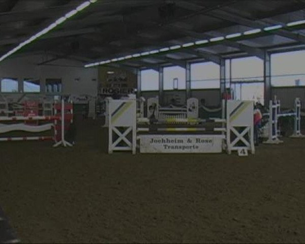 jumper Sarina (Rhinelander, 2005, from Satisfaction FRH)