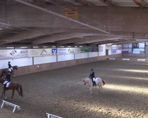 Reitturnier Rhede 2022