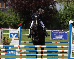 jumper Sammy Cooper (Hanoverian, 2011, from Stolzenberg)