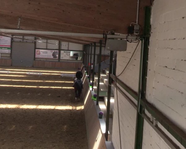 Reitturnier Rhede 2022