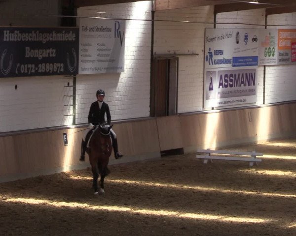 Reitturnier Rhede 2022