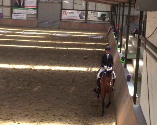 Reitturnier Rhede 2022