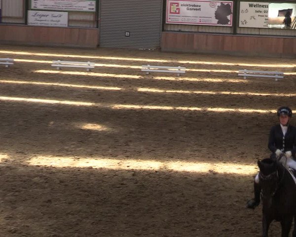 Reitturnier Rhede 2022