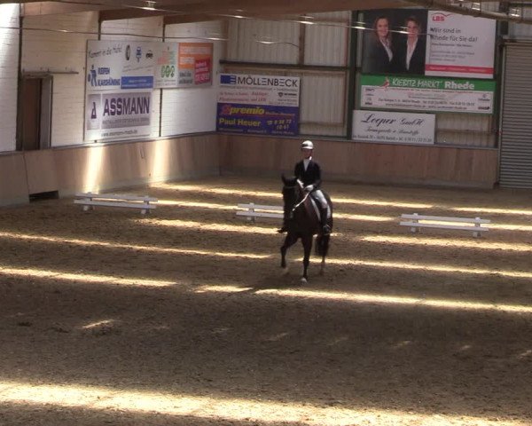 Reitturnier Rhede 2022