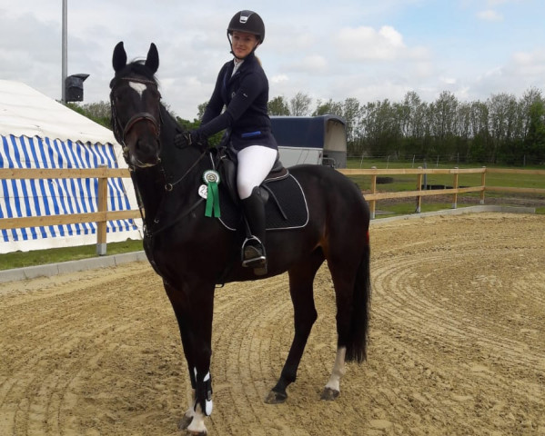 broodmare Diavita Von Ra (Hanoverian, 2018, from Diacontinus) broodmare Diavita Von Ra (Hanoverian, 2018, from Diacontinus)