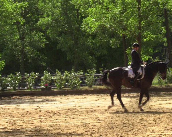 Reitturnier Rhede 2022