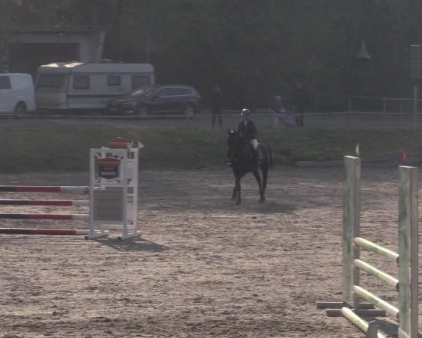 Reitturnier Lgl.-Oberhain, B95 2022