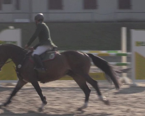 Reitturnier Lgl.-Oberhain, B95 2022