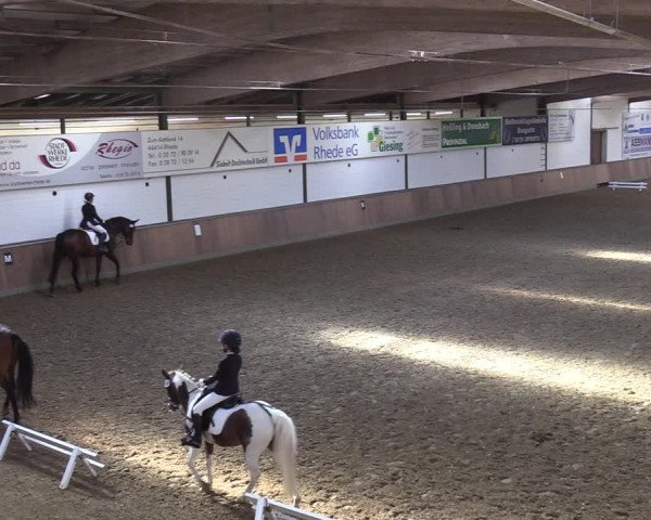 Reitturnier Rhede 2022