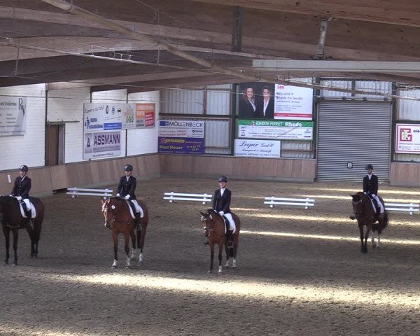 Reitturnier Rhede 2022