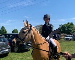 broodmare Dani 11 (German Riding Pony, 2012, from Naminio)