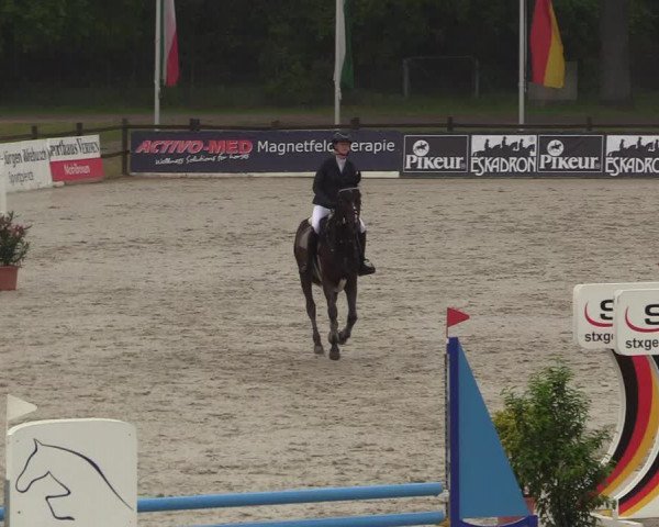 Reitturnier Westergellersen 2022