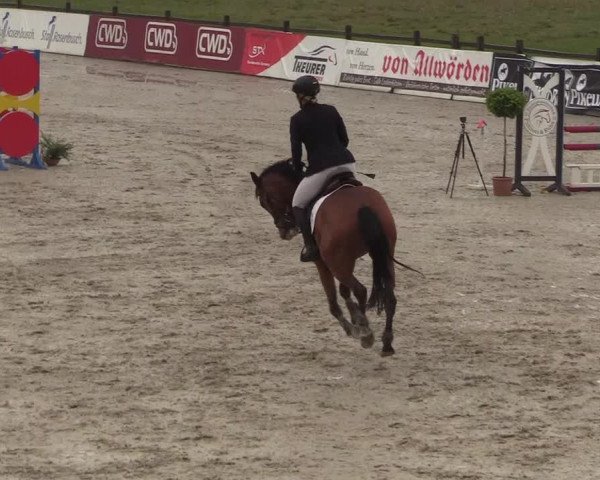 Reitturnier Westergellersen 2022