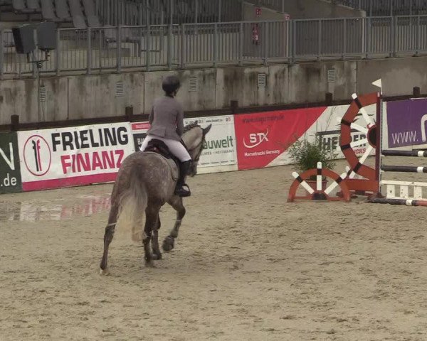 Reitturnier Westergellersen 2022